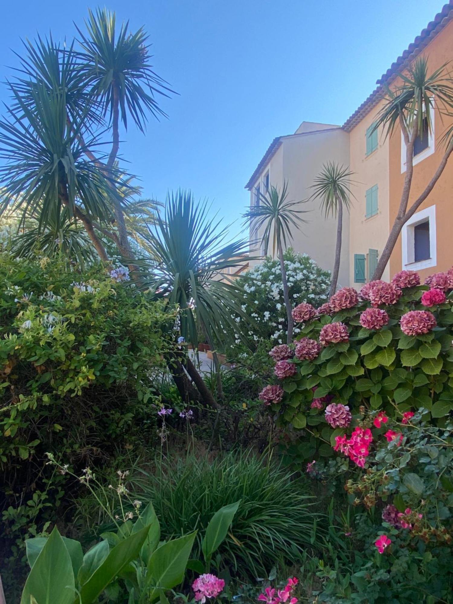 2 Bedrooms, 15 Min Walk To Beach, Ac, Pool & Fiber Internet In A Quiet, Private Gated Domain 5Kms To St Tropez Cogolin Esterno foto